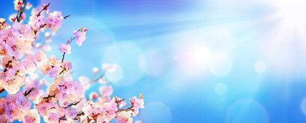 戰(zhàn)疫情，北京韋林公司全體員工齊心協(xié)力共克時(shí)艱！